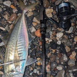 フロートアジングでギガアジ