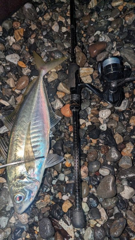 フロートアジングでギガアジ