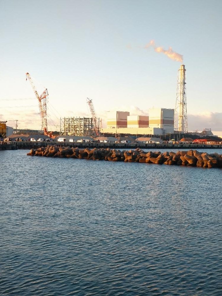 アジが入れ食い