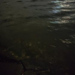 バイシクルアジング