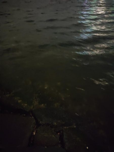 バイシクルアジング