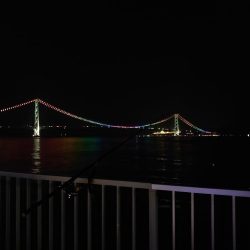 マダイ狙いのカゴ釣り🎣