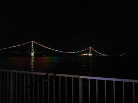 マダイ狙いのカゴ釣り🎣