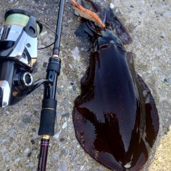 キロアップIN対馬