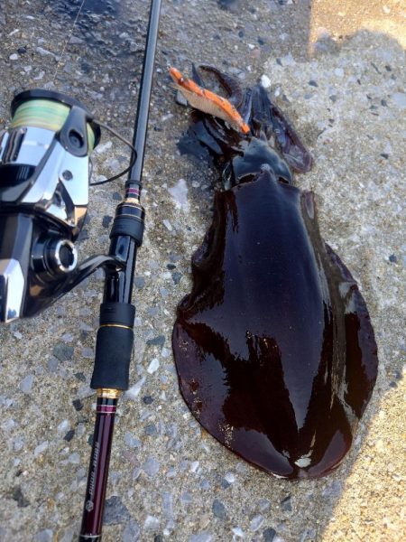 キロアップIN対馬