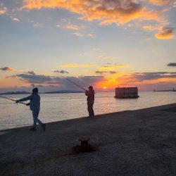 夜明け前から日没までキャスト