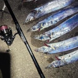 ついに待望のサイズアップ