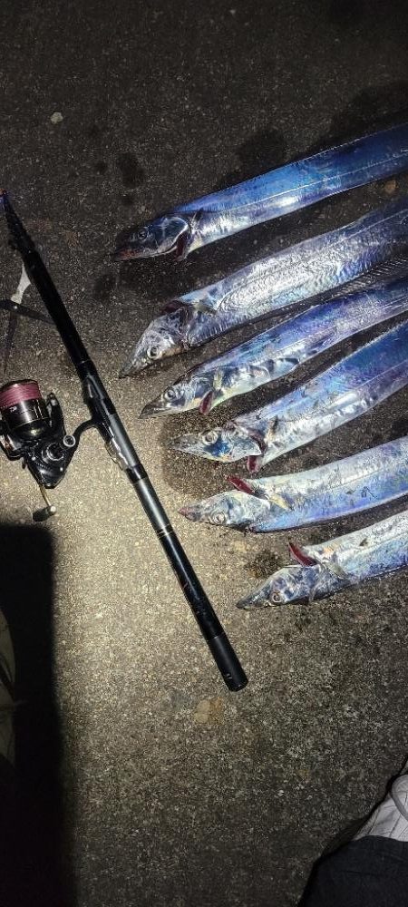 ついに待望のサイズアップ