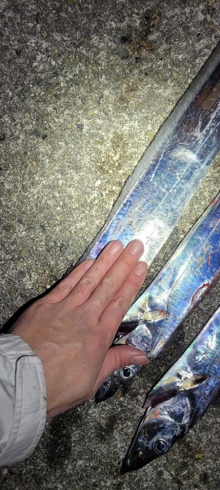 寒波前の釣り収め