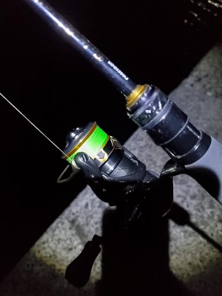 アジング 好釣果で良型多数