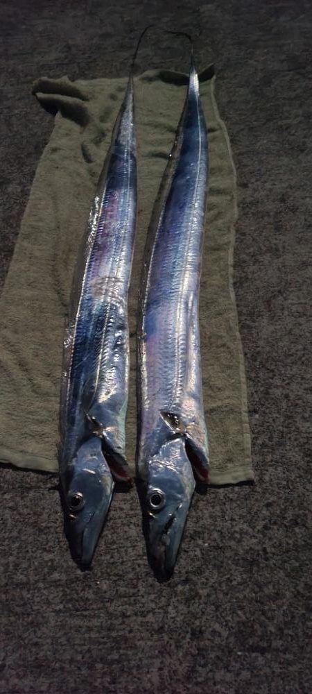 来たらデカい!というやつ