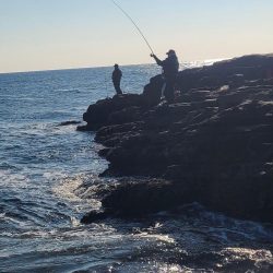 和歌山市江(吉丸渡船)でフカセ釣り