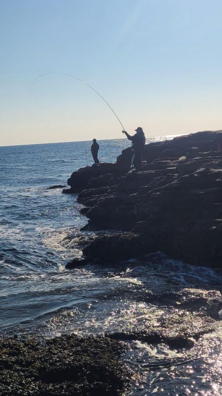 和歌山市江(吉丸渡船)でフカセ釣り