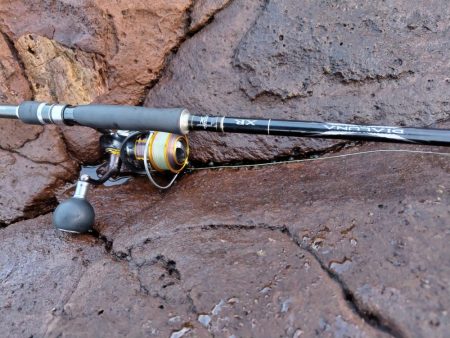 青物＆シーバス