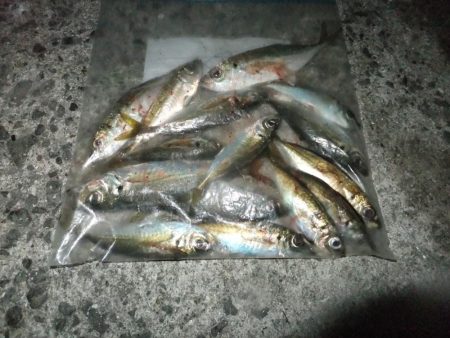 少し渋くなってきました