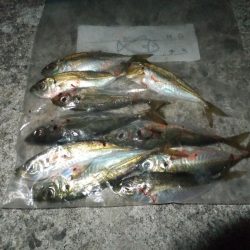 なんとかツ抜け