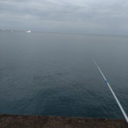 アジ、エソ、タチウオ（お）