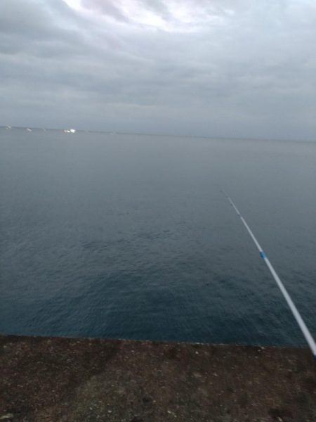 アジ、エソ、タチウオ（お）