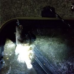 もれなく小さい