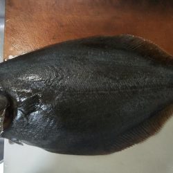 年納めの座布団