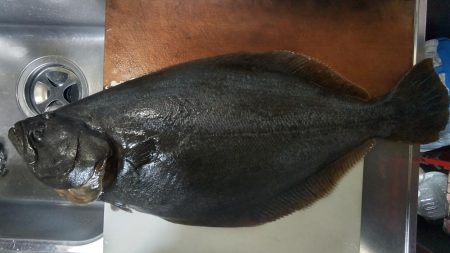 年納めの座布団