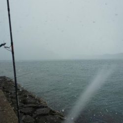 サゴシはそろそろ終了かな・・・