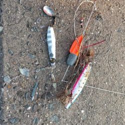 お祭り終わるも思わぬ大物が!