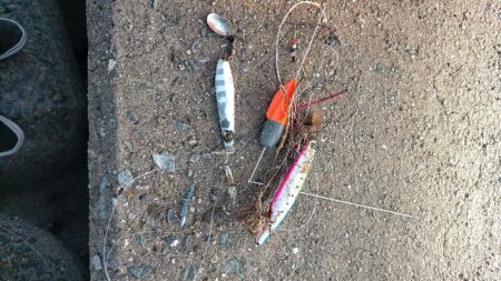 お祭り終わるも思わぬ大物が!