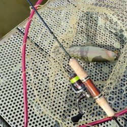 激渋の原因はターンオーバー？