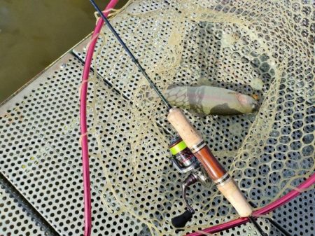 激渋の原因はターンオーバー？