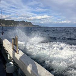 たかたかの釣り日記