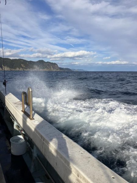 たかたかの釣り日記