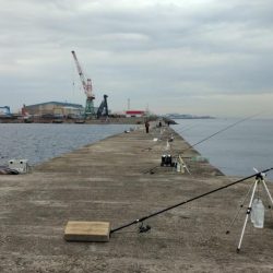 近場のキスが厳しくなりました