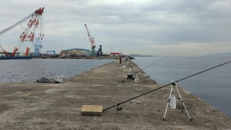 近場のキスが厳しくなりました