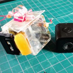 なんとかガシラ