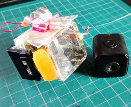 なんとかガシラ