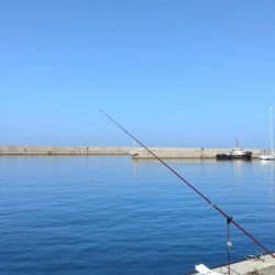 シーズン５回目の淡路釣行