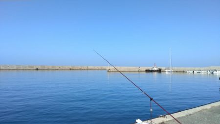 シーズン５回目の淡路釣行