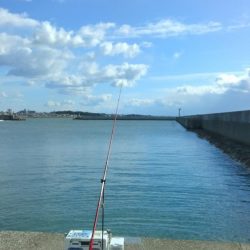 ハゼ釣りになりました