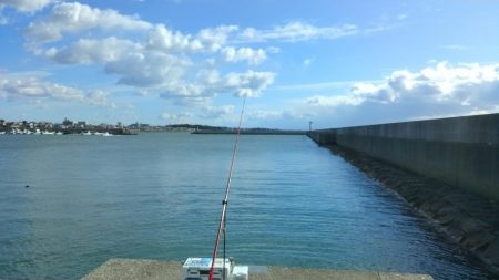 ハゼ釣りになりました