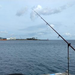 淡路島ランガン釣行