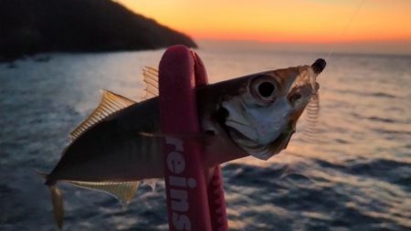 スーパーゼンゴ