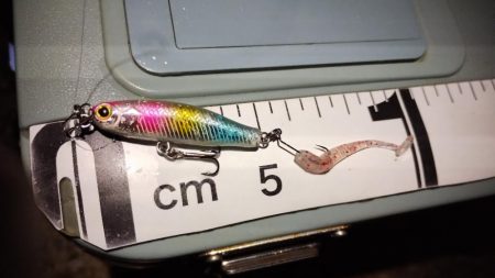 大発明! プラグワームで初めてのメバル!!