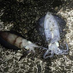 久しぶりのジェット噴射の感覚