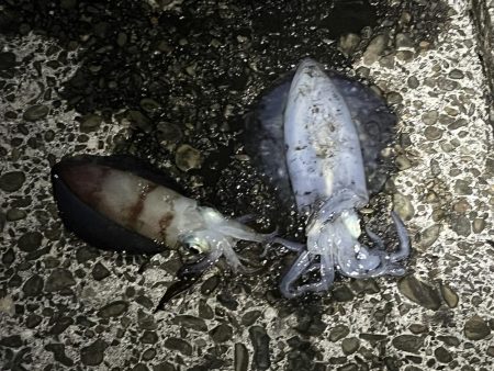 久しぶりのジェット噴射の感覚