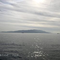 巨チヌにサヨリ、良型グレやスズメダイ大漁〜!!