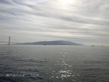 巨チヌにサヨリ、良型グレやスズメダイ大漁〜!!