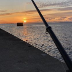 僅かなアタリで1枚