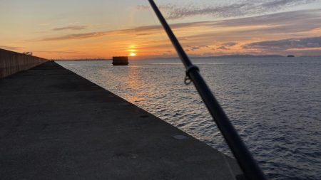 僅かなアタリで1枚