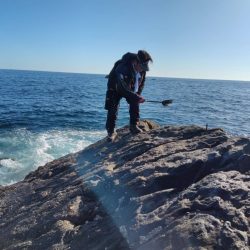 和歌山口和深（下谷渡船）でグレ釣り